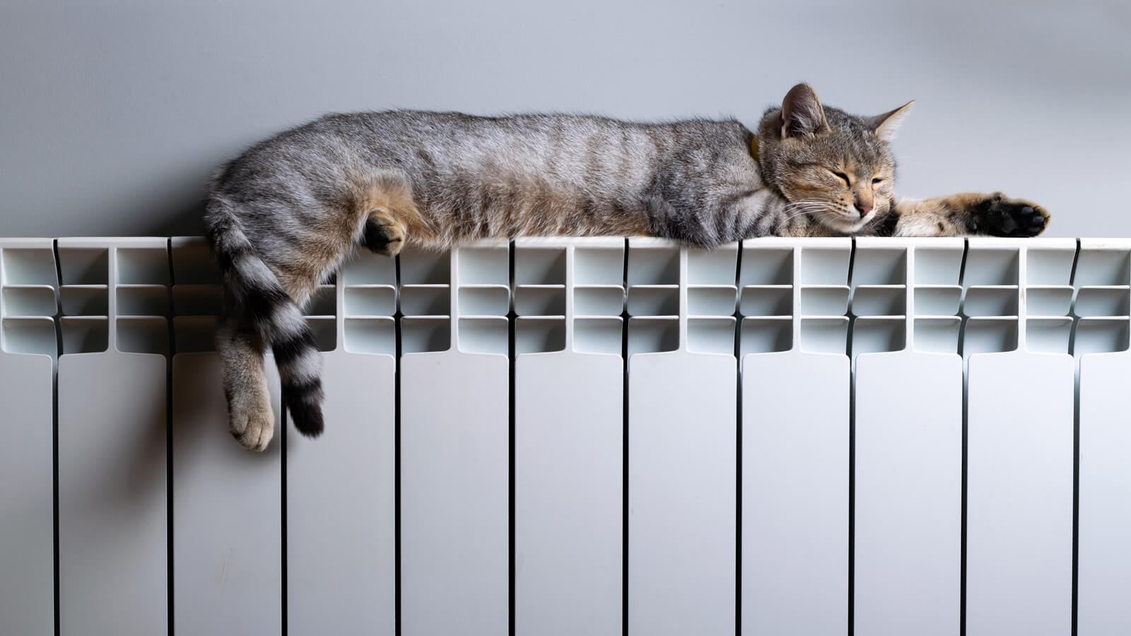Modern radiator